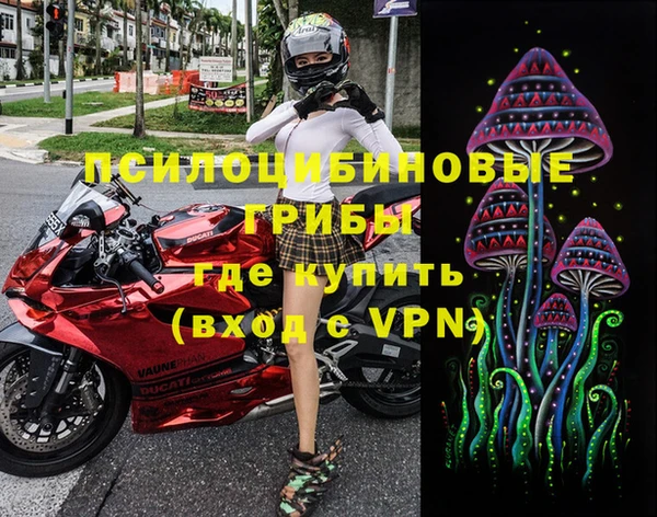 метамфетамин Ельня
